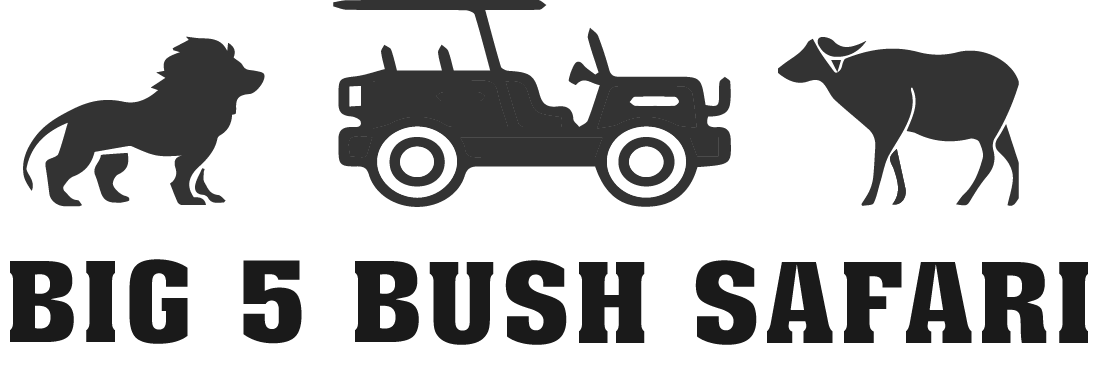 Big 5 Bush Safari